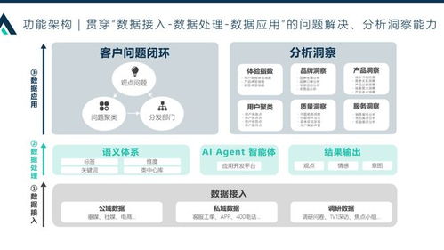 某頭部合資車集團 客戶之聲數(shù)據(jù)洞察及聚類派單項目