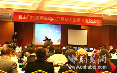 湖北軟件產(chǎn)業(yè)發(fā)展加速，漢產(chǎn)數(shù)據(jù)庫(kù)品牌挺進(jìn)國(guó)際市場(chǎng)